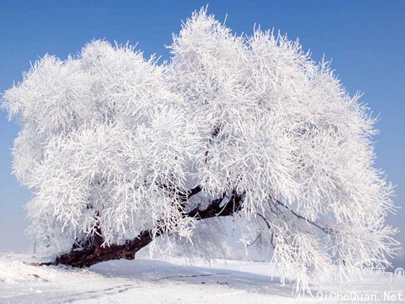 ���������� ���������ι��� ���������ξ����ȫ