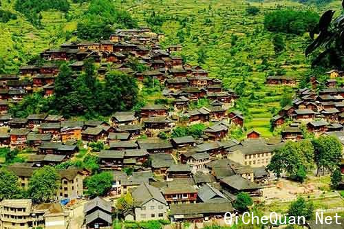 ������կ