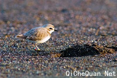 �����еĺ���