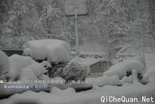 ����������ѩ����ʢ��