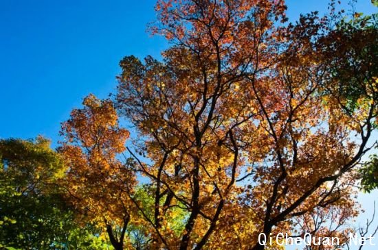 ���죬���õļ���