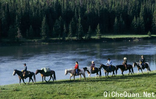 ����ţ������