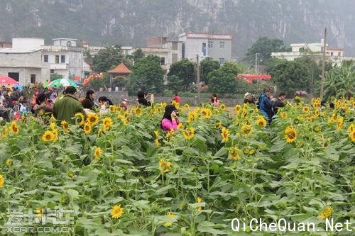 ���Ǳ���