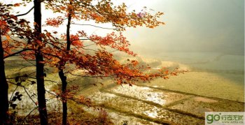 �����Լ��κ�Ҷɭ�ֹ�԰