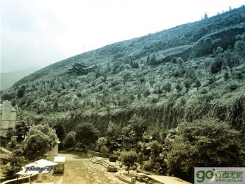 �����Լ���֮����ӡ��