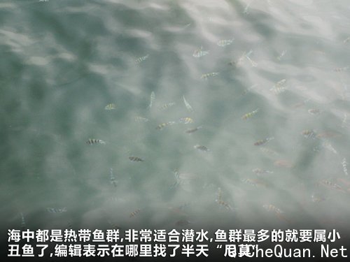 北京奔驰  C200 CGI 1.8T AT